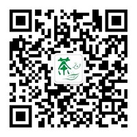 茶緣