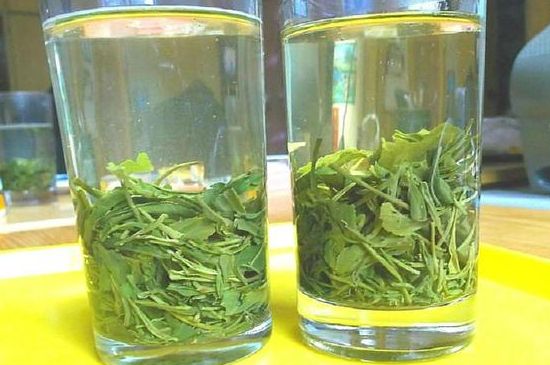 茶葉為什么不能亂送人，買茶葉一次送一盒還是兩盒