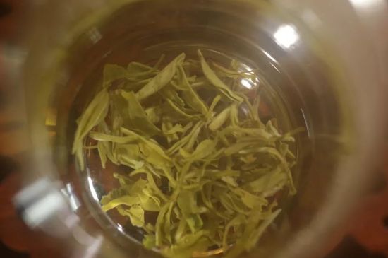 碧螺春正確泡法和飲用，碧螺春茶泡茶方法與溫度