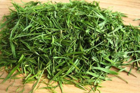 哪類人不適合喝石竹茶，石竹茶的功效與禁忌