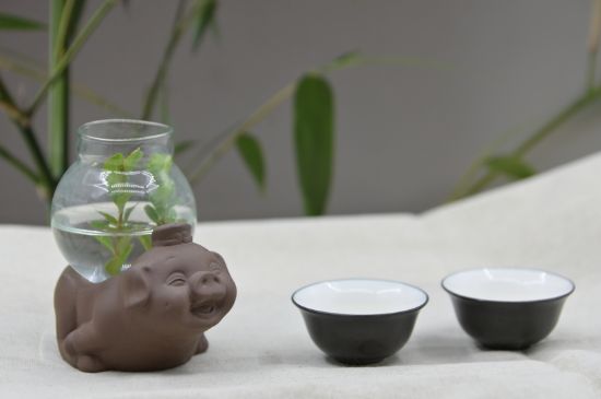 正確泡茶13個(gè)流程，新手從零開始學(xué)泡茶的步驟