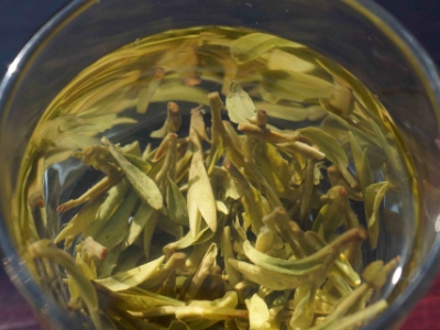 安吉白茶的功效與作用，簡單概括安吉白茶功效