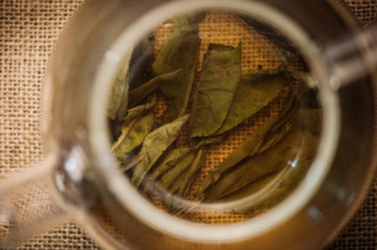 苦丁茶副作用，苦丁可以經(jīng)常喝嗎？