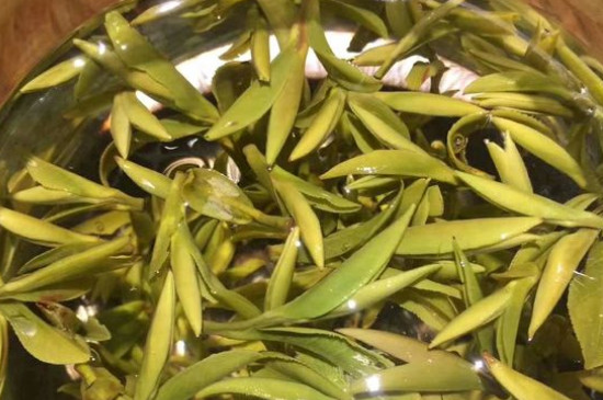 八大茶系都有哪幾種，八大茶系都是什么名字