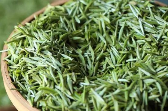 雀舌茶的沖泡方法，怎么沖泡雀舌茶？