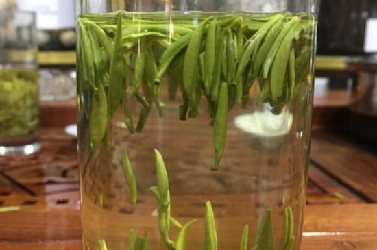 雀舌茶的副作用，雀舌茶什么人不能喝？