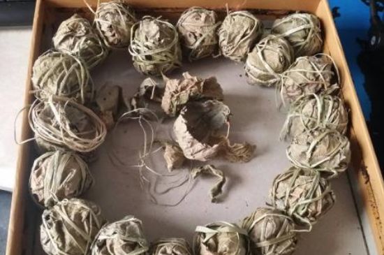 鷓鴣茶用拆開泡嗎，鷓鴣茶要解開繩子泡嗎