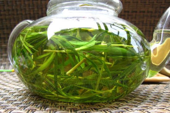 竹葉茶的禁忌，竹葉泡茶的功效禁忌