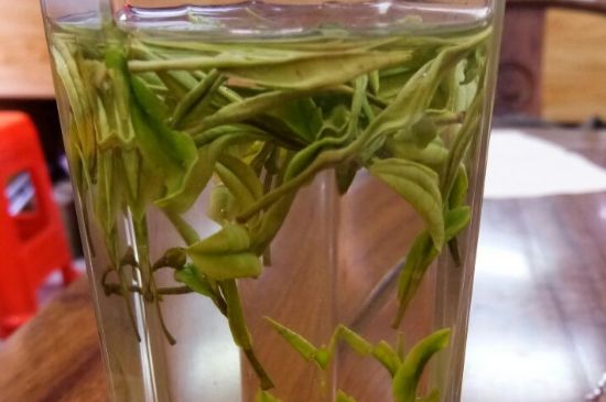 云霧綠茶的功效及禁忌，哪些人不適合喝云霧茶