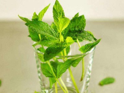 喝茶治口臭嗎，什么茶治口臭好？