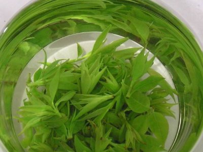 茶葉具有什么功效，茶葉的功效與作用大全