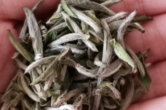 如何買茶葉不上當，怎么買茶葉不被坑？