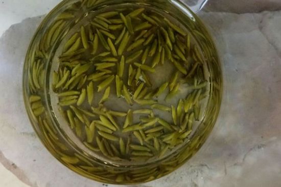 茶葉在哪里買比較好，哪里能買到好的茶葉