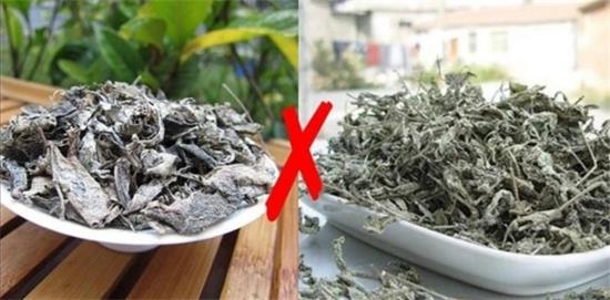 張家界茅巖莓茶與藤茶是同一種茶嗎，藤茶跟莓茶一不一樣？