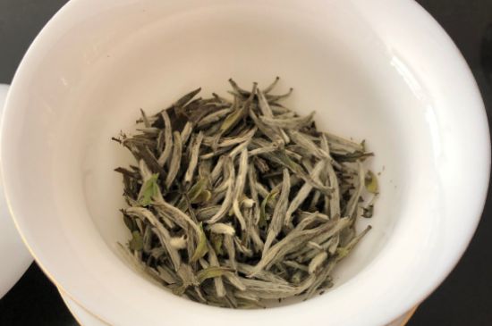 春茶上市白茶的好壞怎么區(qū)分，春白茶怎么分辨好不好？