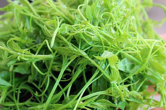 茅巖莓茶別名是什么，莓茶別名叫藤茶嗎？