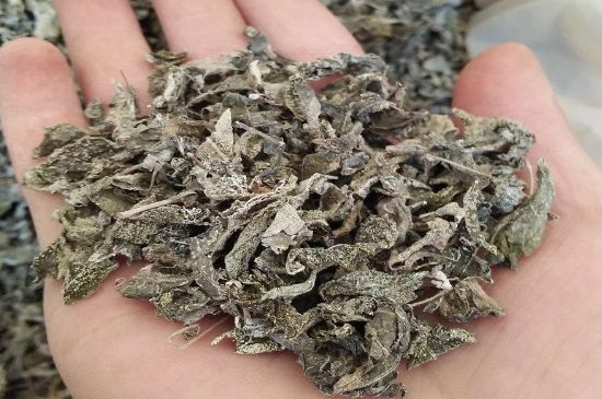 張家界莓茶真假對(duì)比，野生莓茶的鑒別方法