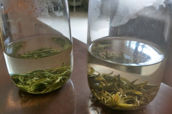 真假碧螺春泡水后區(qū)別，蘇州洞庭碧螺春怎樣鑒別好壞？