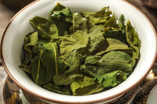陳茶還是新茶好，茶葉是新茶好喝還是陳茶好喝