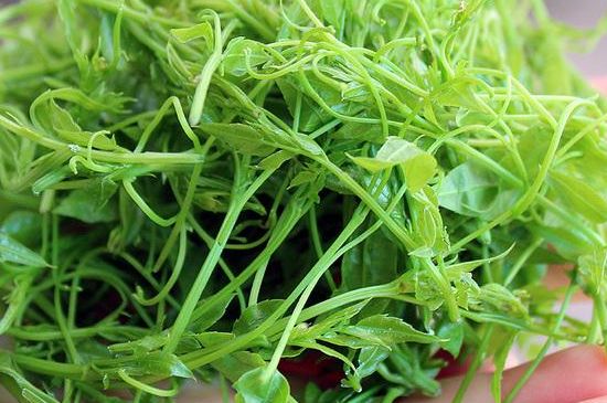 茅巖莓茶保質(zhì)期有多久，張家界莓茶存放時(shí)間長(zhǎng)了還能喝嗎？