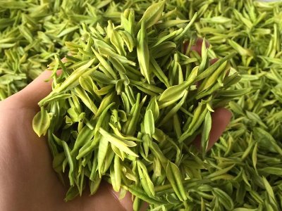 白茶品質(zhì)如何區(qū)分，白茶的優(yōu)劣質(zhì)量辨別方法