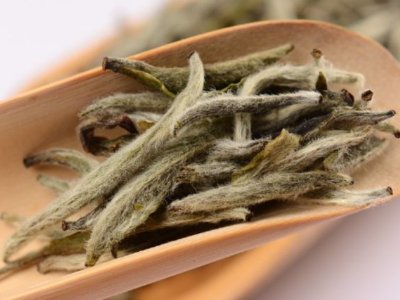 白毫銀針?lè)艓啄曜詈?，白毫銀針什么年份最好？