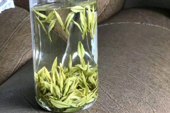 安吉白茶夏天怎么保存，安吉白茶能冷凍儲存嗎？