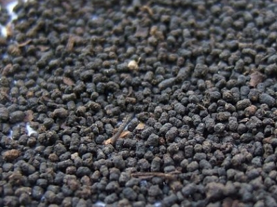圓形顆粒狀茶是什么茶，像飼料一樣一粒粒的是什么茶？