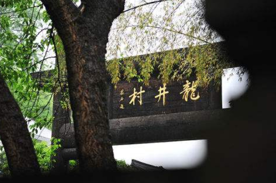 杭州買龍井茶攻略，怎么買到正宗的西湖龍井？