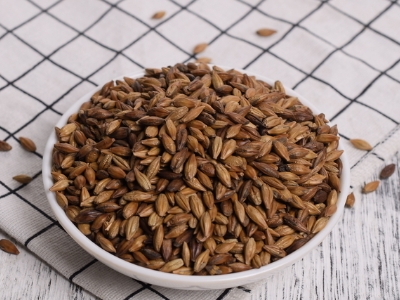 圓形顆粒狀茶是什么茶，像飼料一樣一粒粒的是什么茶？