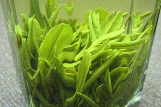 哪種茶葉可以放冰箱，哪些茶不能放冰箱？