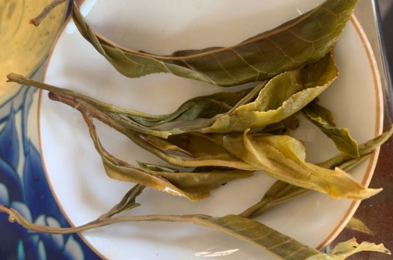 普洱茶十大學(xué)費(fèi)茶排名，吉普H是學(xué)費(fèi)茶？