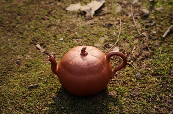 紫砂壺泡什么茶最佳，紫砂壺一般泡什么茶？