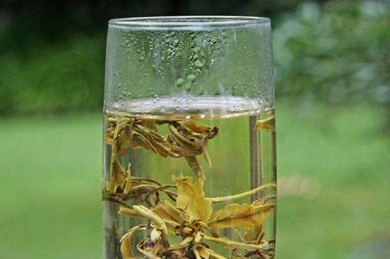 茉莉龍珠什么人不能喝，茉莉龍珠茶什么體質(zhì)不能喝？