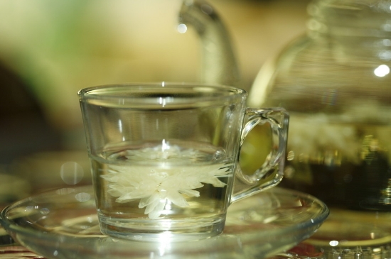 菊花茶天天喝行嗎，每天喝菊花泡茶喝好嗎？