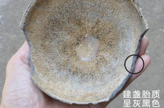假建盞的特點，真假建盞區(qū)分帶圖