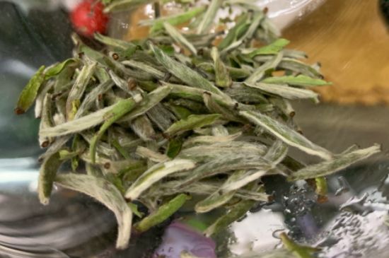 蒸汽煮茶器適合什么茶，蒸汽煮茶器適合用綠茶嗎？