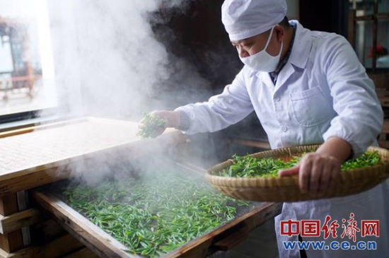 炒青綠茶與綠茶的區(qū)別，烘青和炒青哪個好喝？