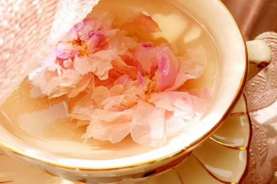 玫瑰花茶一周喝幾次，玫瑰花茶可以天天喝嗎？