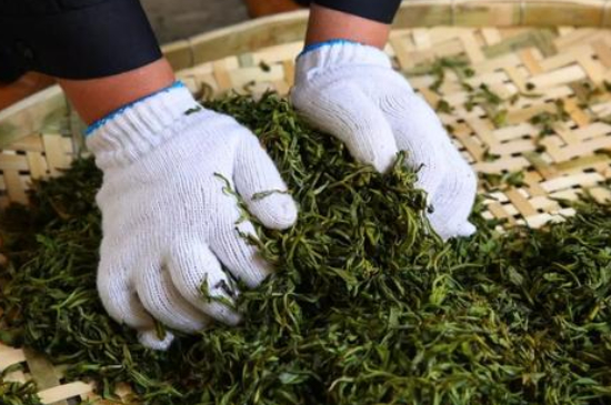 綠茶加工工藝流程圖，綠茶的加工制作包含哪幾個步驟？