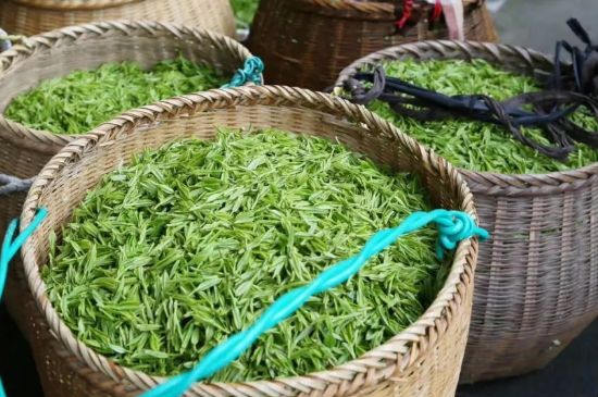 茶葉怎么炒制才香，怎樣炒茶葉更香？