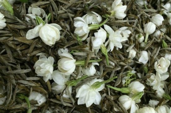 茉莉銀針口感，茉莉銀針是什么味道？