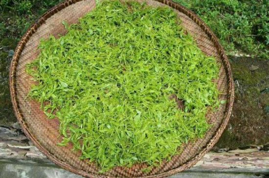 茅巖莓茶加工工藝，莓茶的工藝制作過程