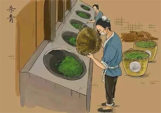 制茶八步驟，制茶工藝流程圖