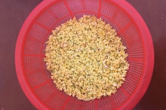 干桂花茶的制作方法，怎樣自制桂花茶？