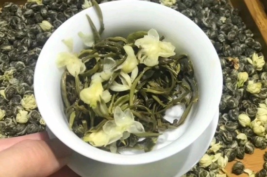 茉莉香珠跟龍珠有什么區(qū)別嗎，茉莉龍珠和茉莉香珠那個(gè)好？