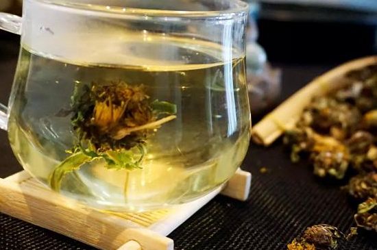 蒲公英最佳搭配，蒲公英茶和什么搭配泡水最佳