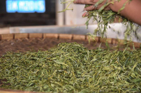 炒青綠茶與綠茶的區(qū)別，烘青和炒青哪個好喝？