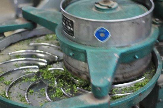 武夷巖茶的初制、精制加工工藝詳細(xì)講解