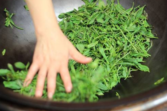 炒青綠茶與綠茶的區(qū)別，烘青和炒青哪個好喝？